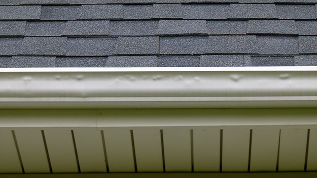 Storm Hail Wind Damage